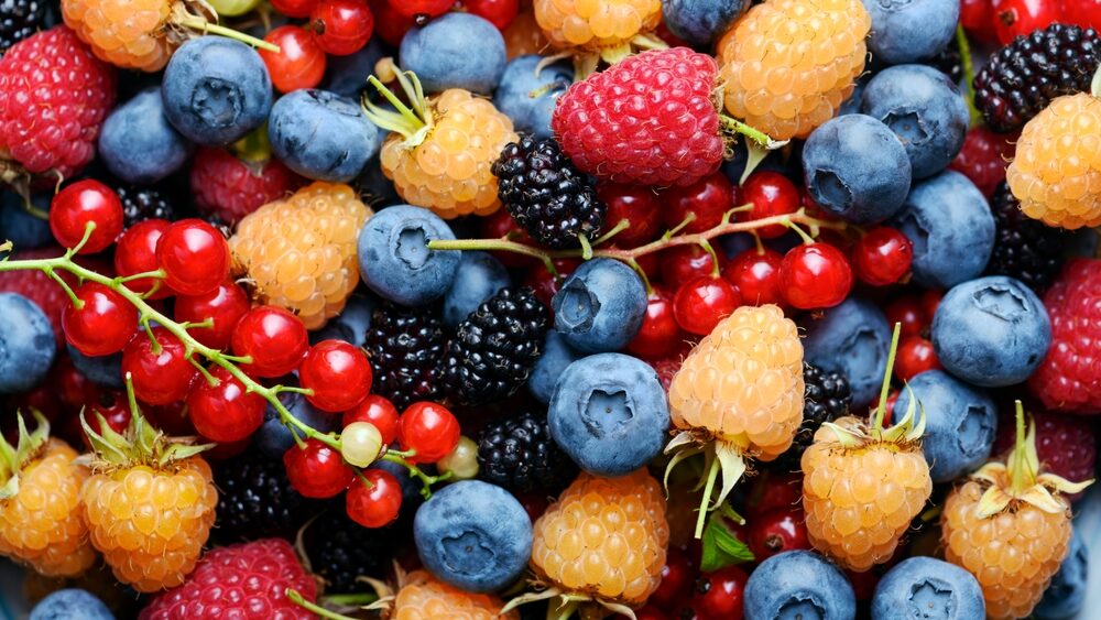 Multicolored mixed berries close up: blueberries, raspberries, redcurrant, blackcurrant and mulberries.